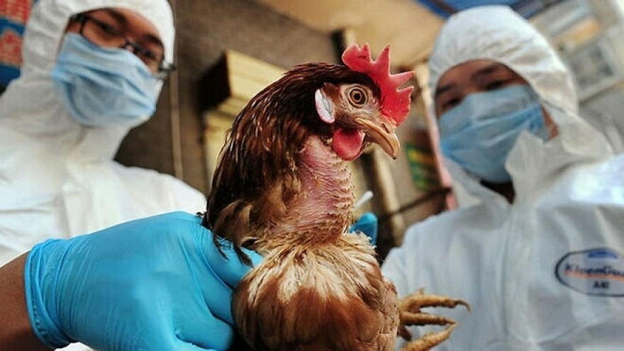 First Vietnam case of human avian influenza A (H5) virus after eight years